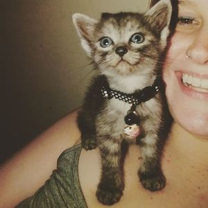 Meet your Posher, Chelsea